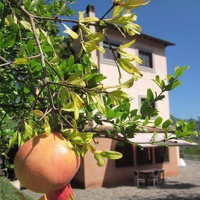 Il Casone - Valle Dell'aniene *